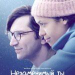 Незаменимый ты (2018)